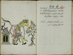Kurkuma Jawa, MS 41 str. 52, Obraz 26, 1830 r